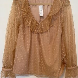 J.Crew Sheer Lace Top with Polka Dots